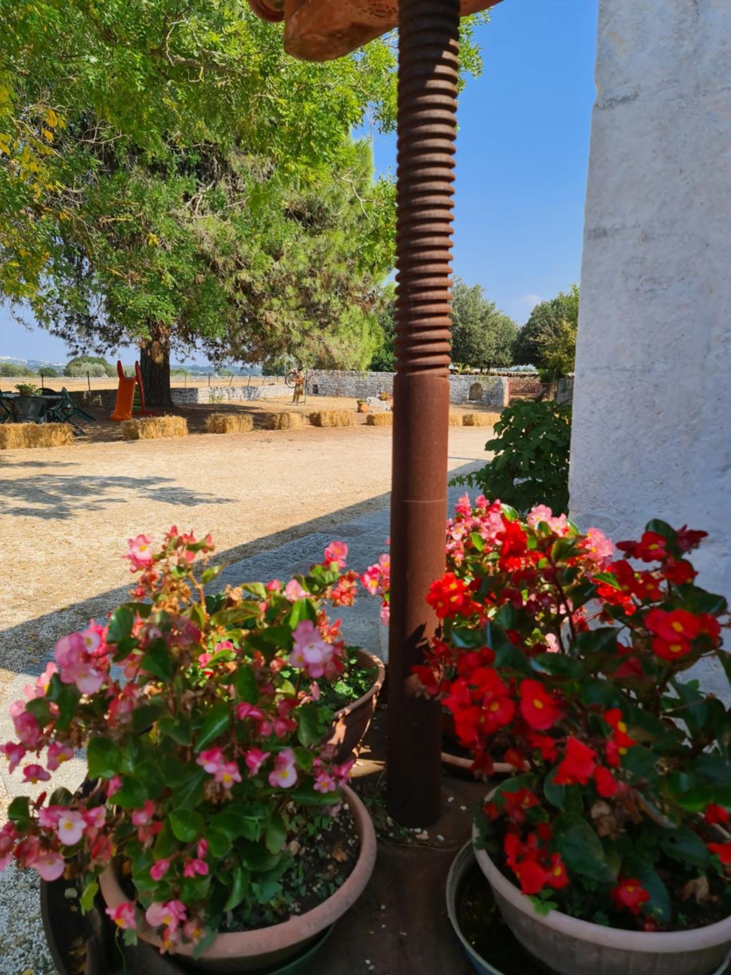 Masseria Gianca Cisternino Exteriör bild