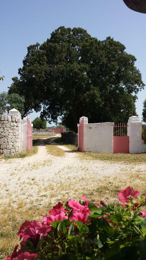Masseria Gianca Cisternino Exteriör bild